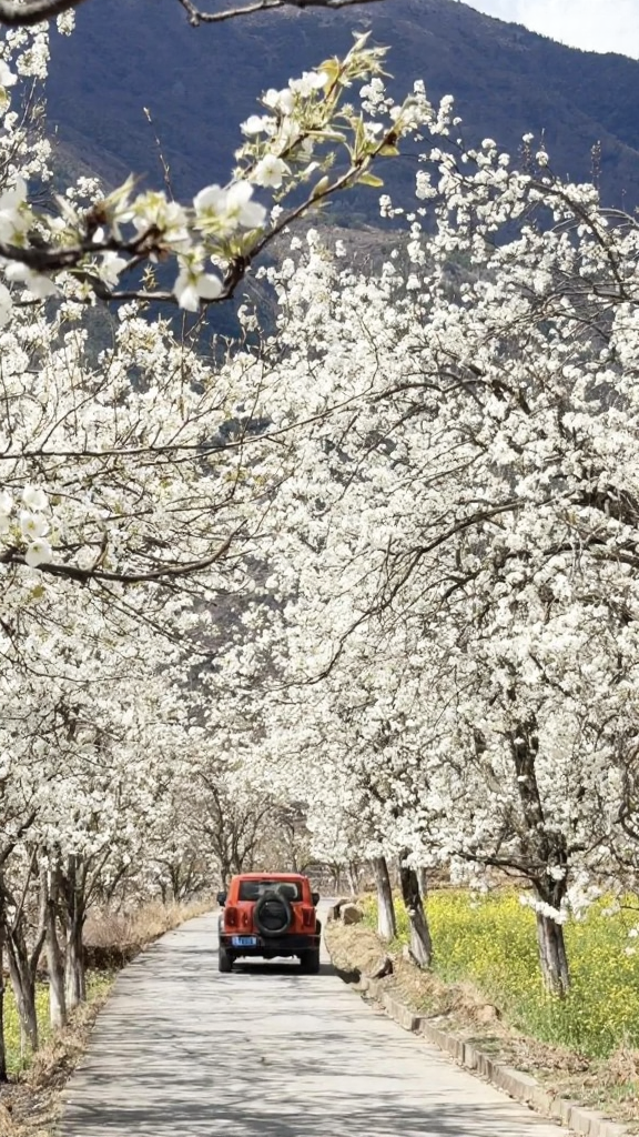 阿坝旅游