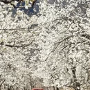 阿坝旅游 缩略图 1
