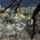 阿坝旅游 缩略图 12