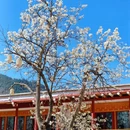 阿坝旅游 缩略图 3