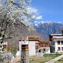 阿坝旅游 缩略图 2