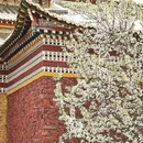 重庆旅游 缩略图 2