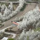 阿坝旅游 缩略图 15