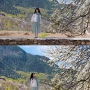 阿坝旅游 缩略图 7