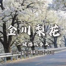 阿坝旅游 缩略图 1