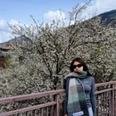 阿坝旅游 缩略图 9