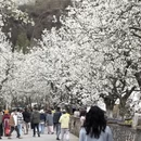 阿坝旅游 缩略图 8