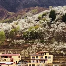 阿坝旅游 缩略图 12