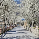 阿坝旅游 缩略图 5