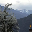 阿坝旅游 缩略图 16