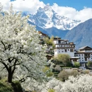 重庆旅游 缩略图 1