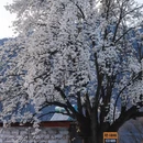 阿坝旅游 缩略图 5