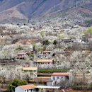 阿坝旅游 缩略图 6