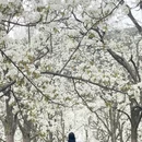 阿坝旅游 缩略图 6