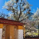 阿坝旅游 缩略图 6