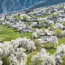 重庆旅游 缩略图 3