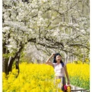 阿坝旅游 缩略图 9