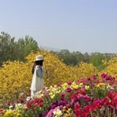 成都旅游 缩略图 10