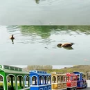 石家庄旅游 缩略图 1