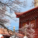 阿坝旅游 缩略图 9