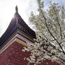 阿坝旅游 缩略图 1