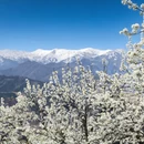 阿坝旅游 缩略图 4