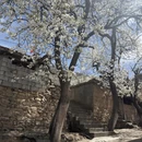 阿坝旅游 缩略图 2