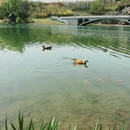 石家庄旅游 缩略图 12