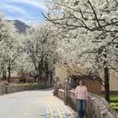 阿坝旅游 缩略图 6