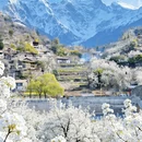 阿坝旅游 缩略图 6