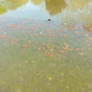 石家庄旅游 缩略图 2