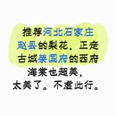 石家庄旅游 缩略图 1