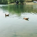 石家庄旅游 缩略图 3