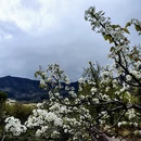 阿坝旅游 缩略图 4