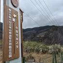 阿坝旅游 缩略图 5