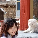 阿坝旅游 缩略图 5