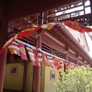 石家庄旅游 缩略图 5