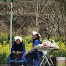 阿坝旅游 缩略图 9