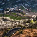 林芝旅游 缩略图 5