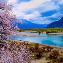 林芝旅游 缩略图 7