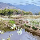 成都旅游 缩略图 4
