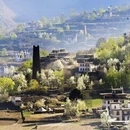 林芝旅游 缩略图 8