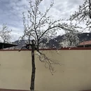 阿坝旅游 缩略图 8