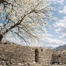 阿坝旅游 缩略图 5
