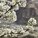 阿坝旅游 缩略图 1
