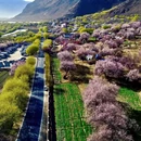 林芝旅游 缩略图 3