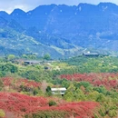 成都旅游 缩略图 8