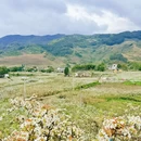 成都旅游 缩略图 7