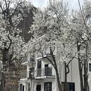 阿坝旅游 缩略图 13