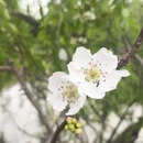 大理州旅游 缩略图 5